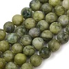 Natural Gemstone Beads GSR032-1