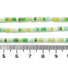Handmade Lampwork Beads Strands LAMP-L078-008-5