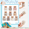 10Pcs Natural Sea Shell Conch Bead & Transparent Glass Bottle Display Decorations AJEW-AB00075-4