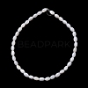 Natural Freshwater Shell Beads Strands SH-CBA2978-06A-3