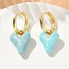 Brass Enamel Dangle Hoop Earrings for Women KK-CBA760A-06G-03-1