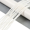 Natural Cultured Freshwater Shell Beads Strands BSHE-H109-03A-2