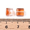 Baking Paint Transparent Glass Beads DGLA-N005-01A-08-4