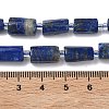 Natural Lapis Lazuli Beads Strands G-C270-K10-5