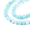 Natural Freshwater Shell Beads Strands BSHE-T009A-01E-2