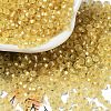 8/0 Glass Seed Beads SEED-Z001-C-E02-1