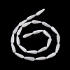 Natural Freshwater Shell Beads Strands SHEL-A004-03A-2
