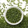 6/0 Glass Seed Beads X2-SEED-A005-4mm-24-2