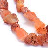 Raw Rough Natural Carnelian Beads Strands G-I279-B01-3