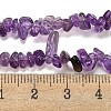 Natural Amethyst Beads Strands X-G-G0003-B44-5