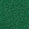 MIYUKI Round Rocailles Beads SEED-JP0009-RR0646-3