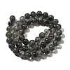 Natural Biotite Beads Strands G-F784-A03-03-3