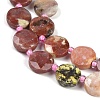 Natural Plum Blossom Jasper Beads Strands G-C116-A16-01-3