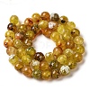 Dyed & Heated Natural Fire Crackle Agate Beads Strands G-P539-B01-13-3