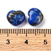 Natural Lapis Lazuli Beads G-K369-03E-3