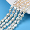 Natural Cultured Freshwater Pearl Beads Strands X-PEAR-N012-05D-1