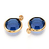 K9 Glass Charms X1-GLAA-T023-37A-07-2