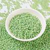 MIYUKI Round Rocailles Beads X-SEED-G008-RR0676-2