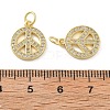 Brass Micro Pave Cubic Zirconia Charms KK-C092-04G-3