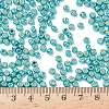 TOHO 6/0 Round Beads SEED-TR06-PF0569-4