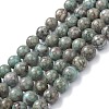 Natural Maifanite/Maifan Stone Beads Strands G-P451-01A-D-1