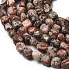 Natural Leopard Skin Jasper Beads Strands G-B161-A03-4