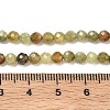 Natural Green Garnet Beads Strands G-Z161-A03-4mm-5