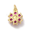 Rack Plating Brass Micro Pave Cubic Zirconia Charms KK-A160-22E-G-2