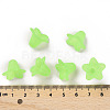 Transparent Acrylic Beads PLF018-05-4