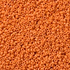 MIYUKI Round Rocailles Beads X-SEED-G007-RR2313-3