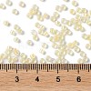 Glass Seed Beads X-SEED-S042-13A-02-4