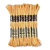 10 Skeins 6-Ply Polyester Embroidery Floss OCOR-K006-A29-1