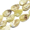 Natural Yellow Opal Bead Strands G-O179-J09-1