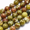 Natural Bloodstone Beads Strands G-I213-25-12mm-1
