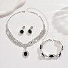 Oval & Horse Eye Brass Rhinestone Necklaces & Bracelets & Earring Sets FS-WG182CE-03-3