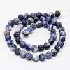 Natural Sodalite Beads Strands G-D691-10mm-2
