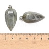 Natural Labradorite Pendants GG-K002-16M-3