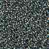 TOHO Round Seed Beads SEED-JPTR15-0995-2