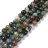 Natural Indian Agate Beads Strands G-E571-24B-1