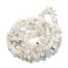 Natural Rainbow Moonstone Beads Strands X-G-A200-02-3