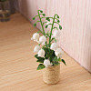 Platic Miniature Ornaments PW-WG36445-01-4