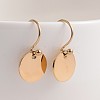 Flat Round 304 Stainless Steel Dangle Earrings EJEW-O040-06G-1