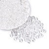 FGB Transparent Glass Seed Beads SEED-N013-01C-02-1
