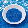 MIYUKI Delica Beads SEED-MY11-DB0787-2