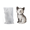Decoration DIY Silicone Mold DIY-K073-16B-1