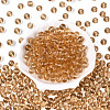 FGB Transparent Glass Seed Beads SEED-N013-01C-05-3
