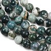 Natural Tree Agate Beads Strands X-G-I199-03-10mm-7