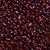 Spray Painted Glass Seed Beads SEED-F005-06A-04-3