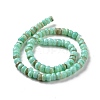 Natural Cultured Freshwater Shell Beads Strands SHEL-F002-01C-3