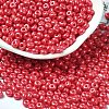 Baking Paint Luster Glass Seed Beads X1-SEED-B001-04A-04-1